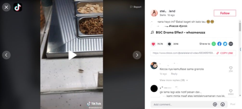 Viral Di Tiktok Kecoa Keluar Dari Wadah Granola Di Sebuah Gerai Makanan Jaksel News 0571