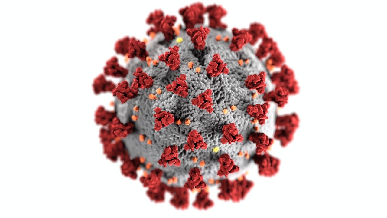 Virus B117 merupakan varian baru corona.