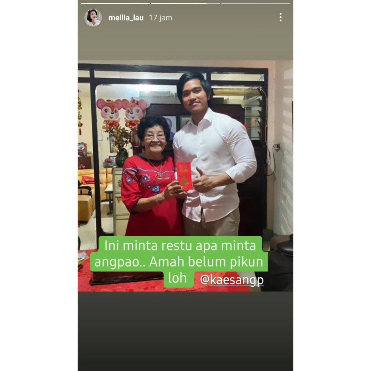 Unggahan Story Instagram Meilia Lau Soal Kaesang