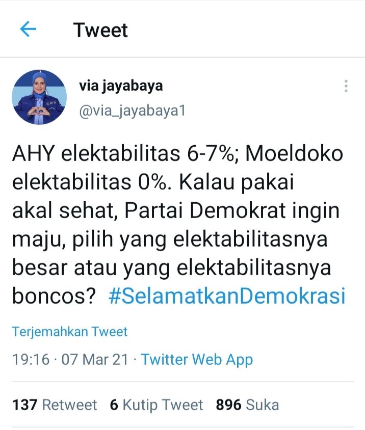 Tweet Ketua DPD Banten Partai Demokrat, Iti Octavia Jayabaya