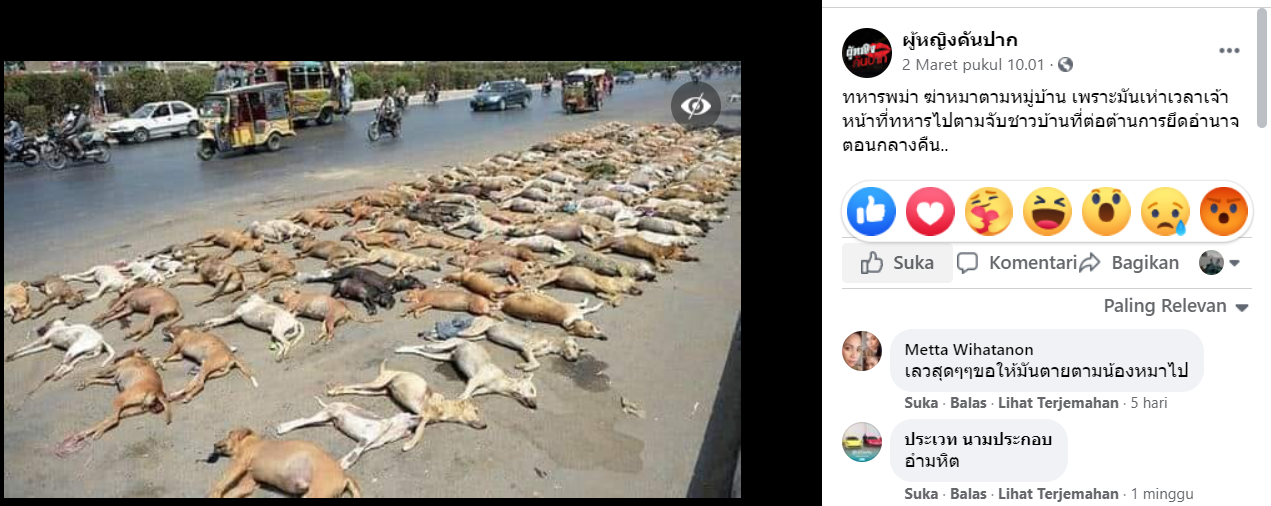 Unggahan Facebook terkait foto klaim bangkai anjing di pinggir jalan di bunuh prajurit Myanmar hoax