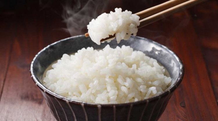 Nasi Shirataki, yang cocok dikonsumsi yang sedang diet dan penderita diabetes mellitus.