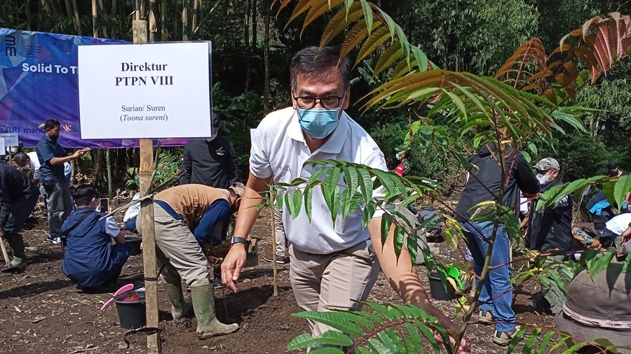 Direktur PTPN VIII Mohammad Yudayat memimpin secara simbolis rehabilitasi lahan kritis di Perkebunan Gunung Mas, Cisarua, Kabupaten Bogor, Jumat, 19 Maret 2021. 