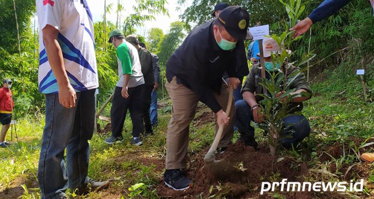 Kepala Dinas Kehutanan Jabar, Epi Kustiawan saat menanam pohon di Kawasan Bandung Utara, Minggu 21 Maret 201
