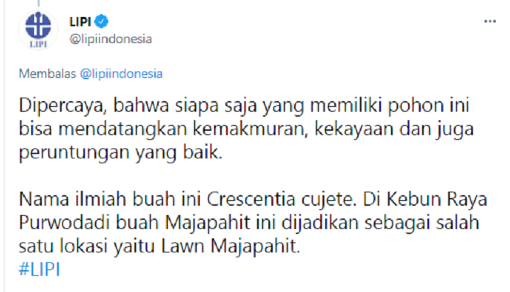 Cuitan Lipi Indonesia.*
