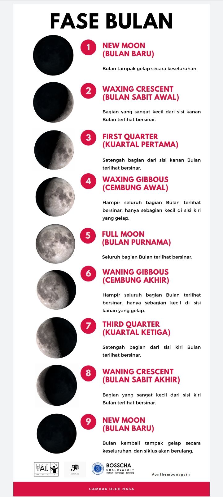 Poster Fase Bulan