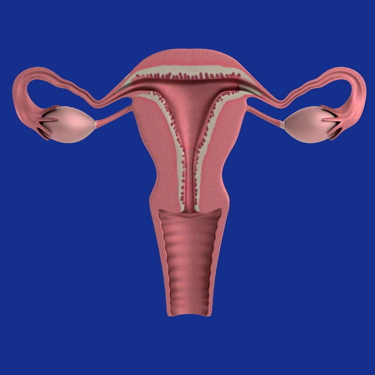 Gambar rahim