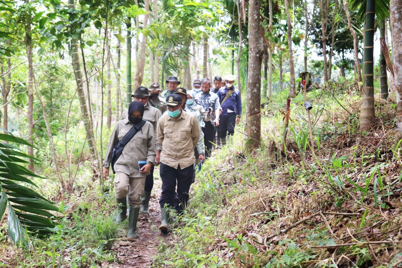 Kementerian Lingkungan Hidup dan Kehutanan (KLHK) tengah melakukan kegiatan Rehabilitasi Daerah Aliran Sungai dan Hutan Lindung (DASHL) secara masif di seluruh wilayah Indonesia
