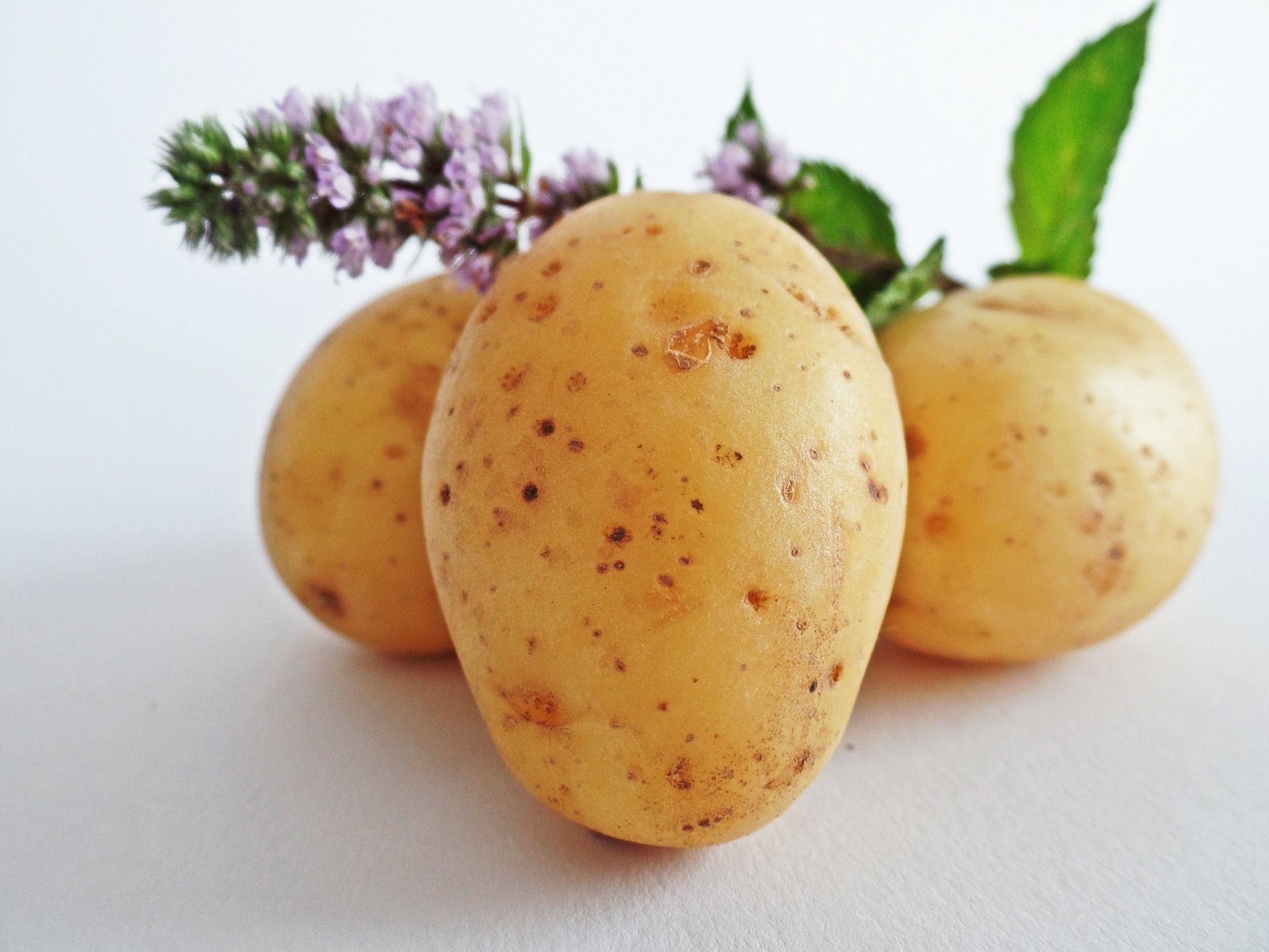 Ilustrasi manfaat kentang yang jarang diketahui.