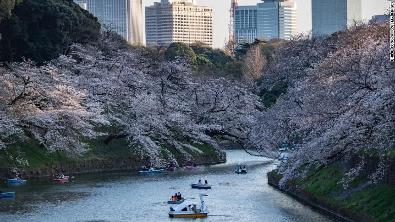 Bunga sakura di Taman Kitanomaru di Tokyo, Jepang, pada 23 Maret.