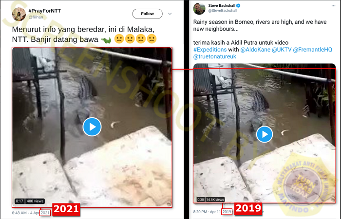 Cuitan hoaks soal buaya di banjir bandang NTT (kiri) dan video asli buaya ditemukan di Kalimantan pada 2019 lalu.