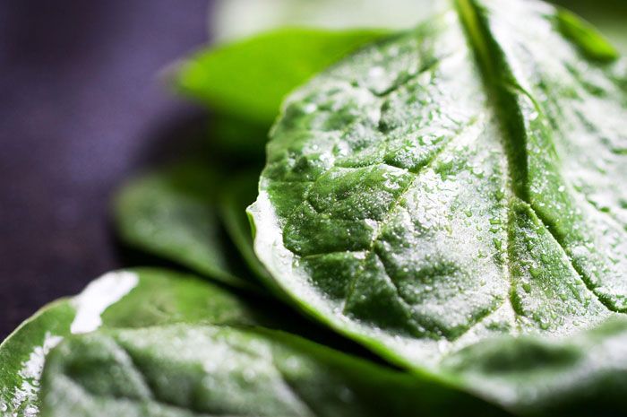 Berikut 7 Manfaat Daun Bayam bagi Kesehatan Tubuh 