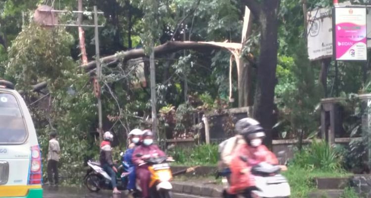 Pohon tumbang di Jalan Dipati Ukur, Kota Bandung, Senin 19 April 2021
