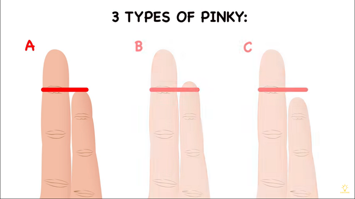 Ada tiga tipe jari kelingking berdasarkan panjangnya, menunjukkan tipe kepribadian seseorang secara spesifik.*