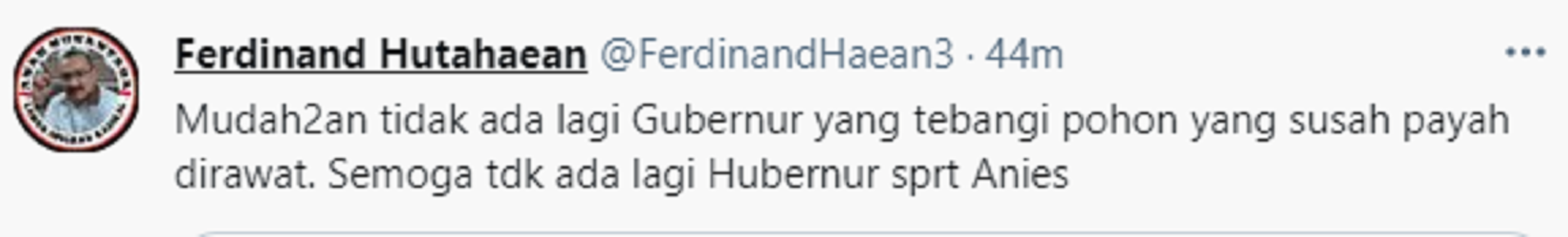 Cuitan Ferdinand Hutahaean soal Gubernu DKI Jakarta Anies Baswedan.