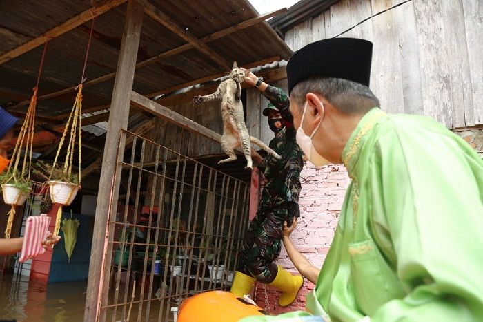 Danrem dan Gubernur Riau ketika menyelamatkan seekor kucing yang terjebak banjir.