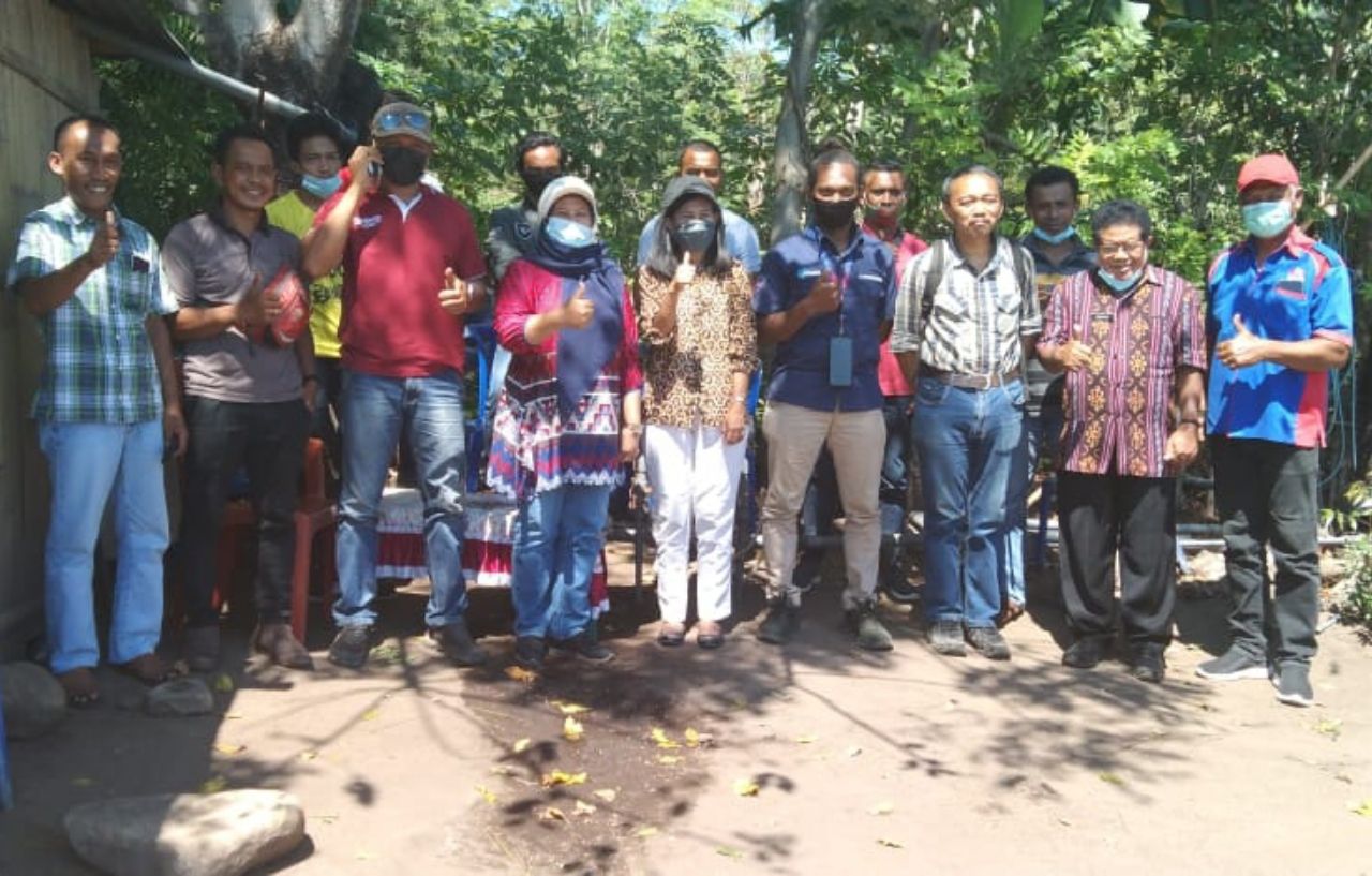 Para petani milenial di Kabupaten Sikka berpose bersama Tim Kemenko Perekonomian, usai berdiskusi di kebun Irigasi Tetes milik Yance Maring