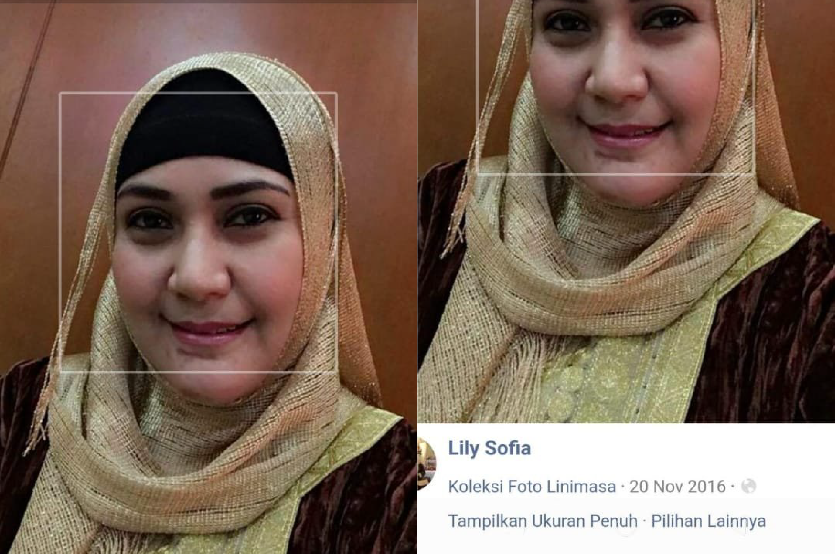 Akun Facebook Lily Sofia Asli Telah Ditemukan Netizen Cantik Mirip Elvi Sukaesih Portal Purwokerto