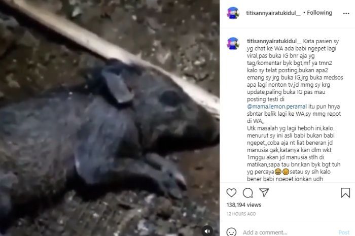 Tanggapan Titisan Nyai Ratu Kidul terkait kemunculan makhluk yang diduga babi ngepet.*