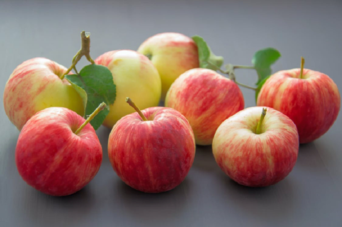 Ilustrasi buah apel.