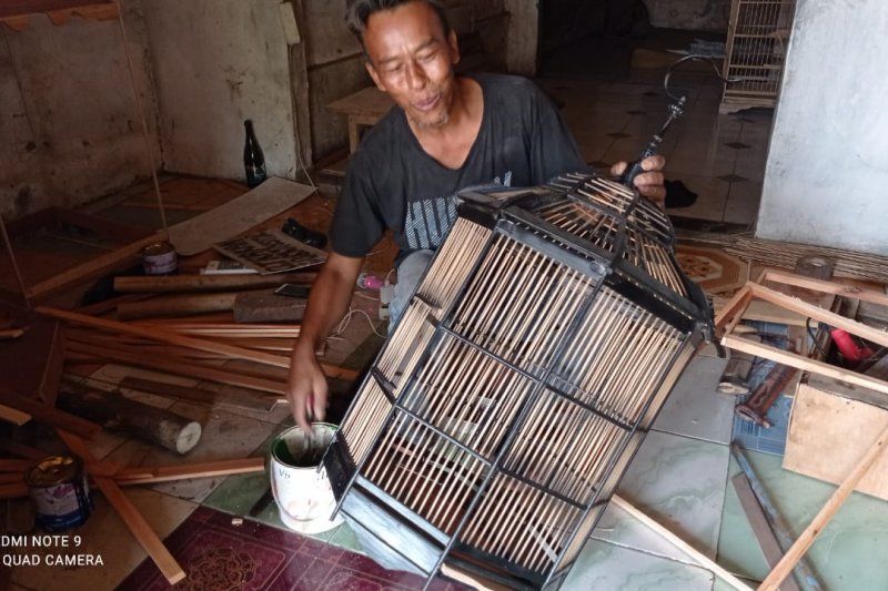 Ramainya Kontes Burung  Kicau di Lebak Perajin Sangkar  