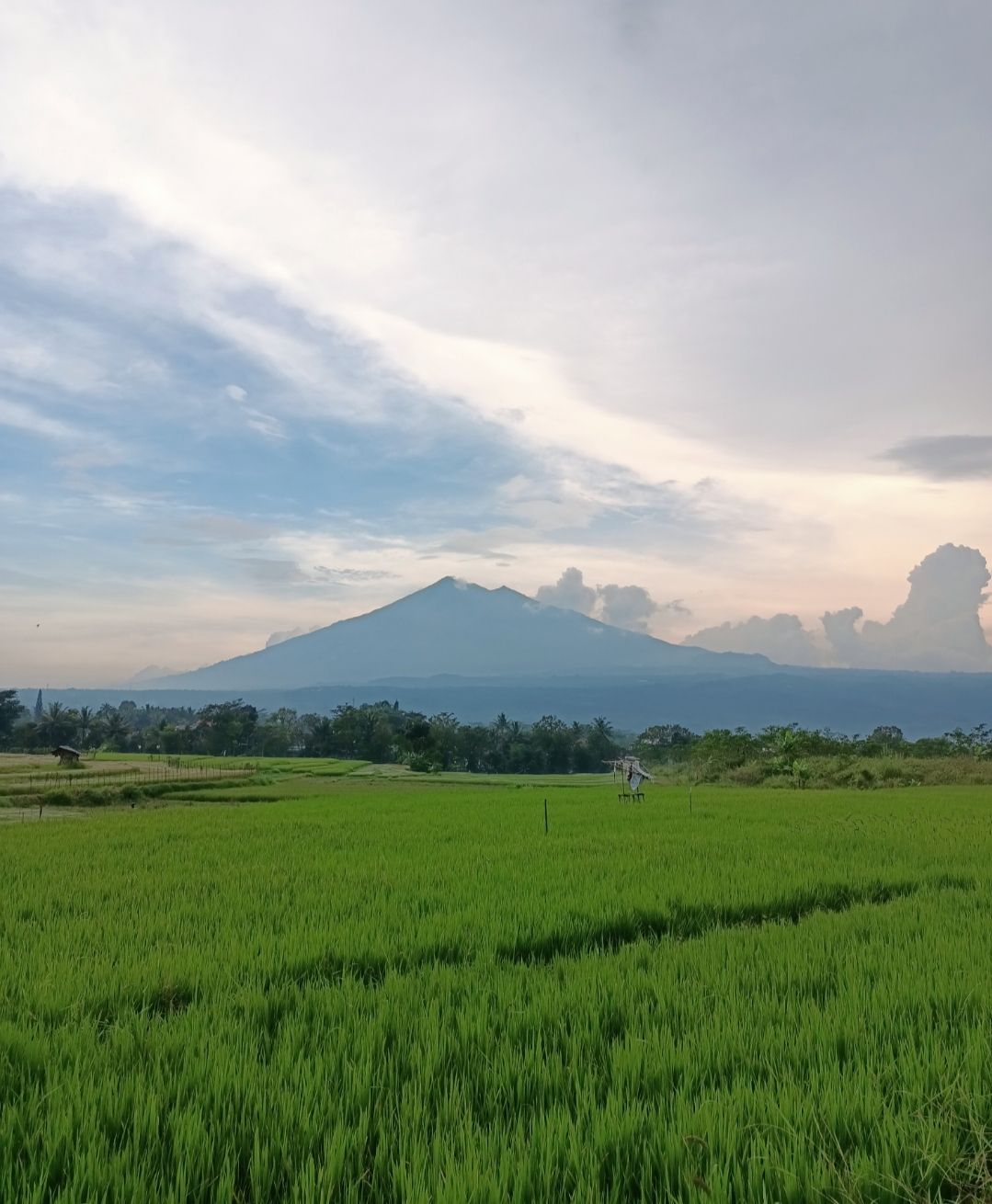 Pemandangan sawah dan gunung diJalan Siranda Raya, Desa Bancaan, Kelurahan Pulutan, Kecamatan Sidorejo, Kota Salatiga, Jawa Tengah.