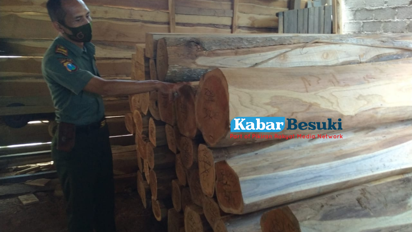 Dari hasil operasi telah mengamankan kayu jati sebanyak 169 batang dan 16 ,033 M3/Kabar Besuki.