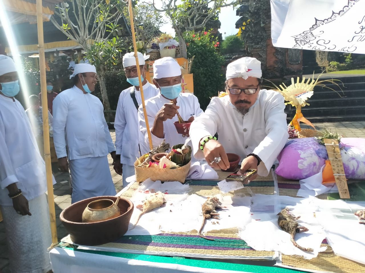 Ritual Ngaben bikul (tikus) yang digelar warga, petani dan pekaseh subak di Pura Desa Lan Puseh Desa Adat Bedha, Tabanan