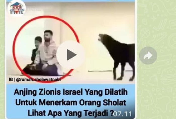 Hoaks anjing Zionis Israel dilatih untuk terkam orang salat.