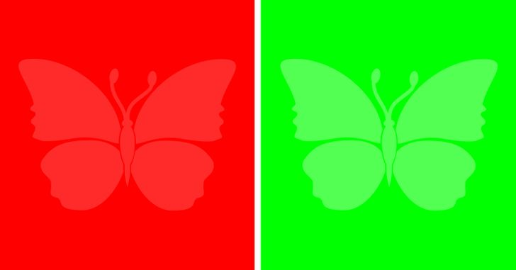 Pertanyaan pertama: kupu-kupu merah atau hijau?