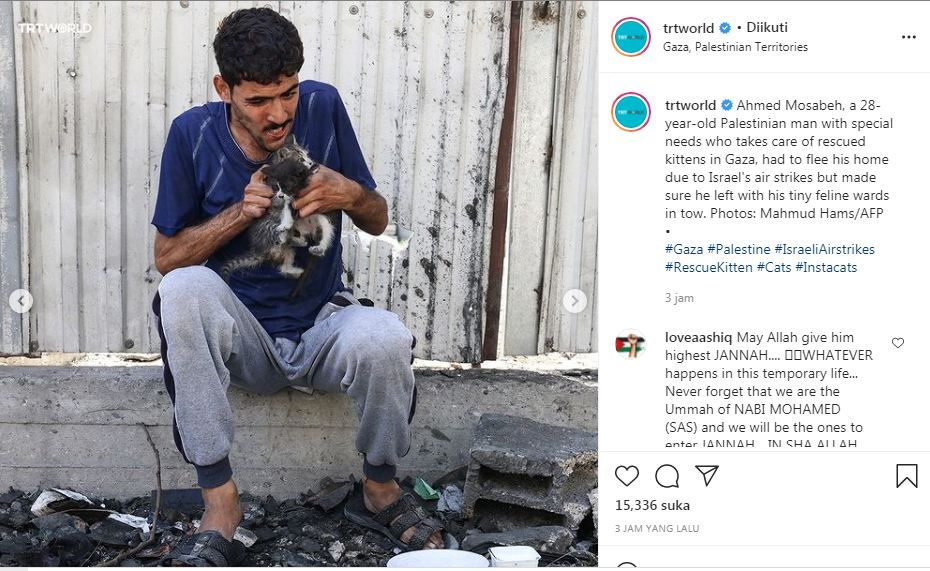 Ajaib,Rumah Pemiiknya Hancur Kena serangan Udara Israel, 2 Anak Kucing ini Selamat dan Hidup