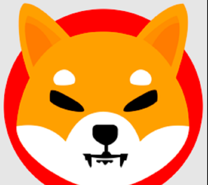 prediksi koin shiba inu apakah sib merupakan investasi yang bagus currencycom on how to buy kishu inu coin in india