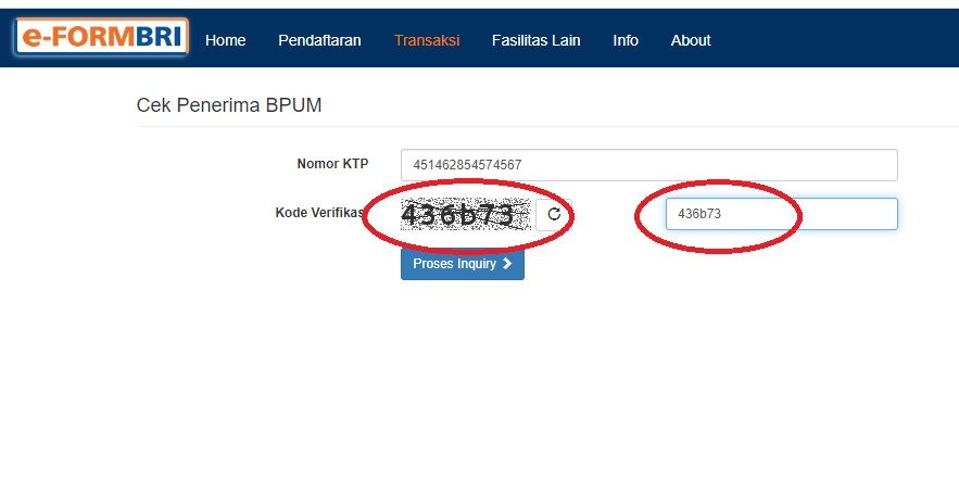 Cara mengisi kode verifikasi Eform BRI/tangkap layer eform.bri.co.id/bpum