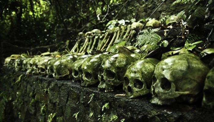 Tulang belulang yang ada di Desa Trunyan. / wanaswara.com