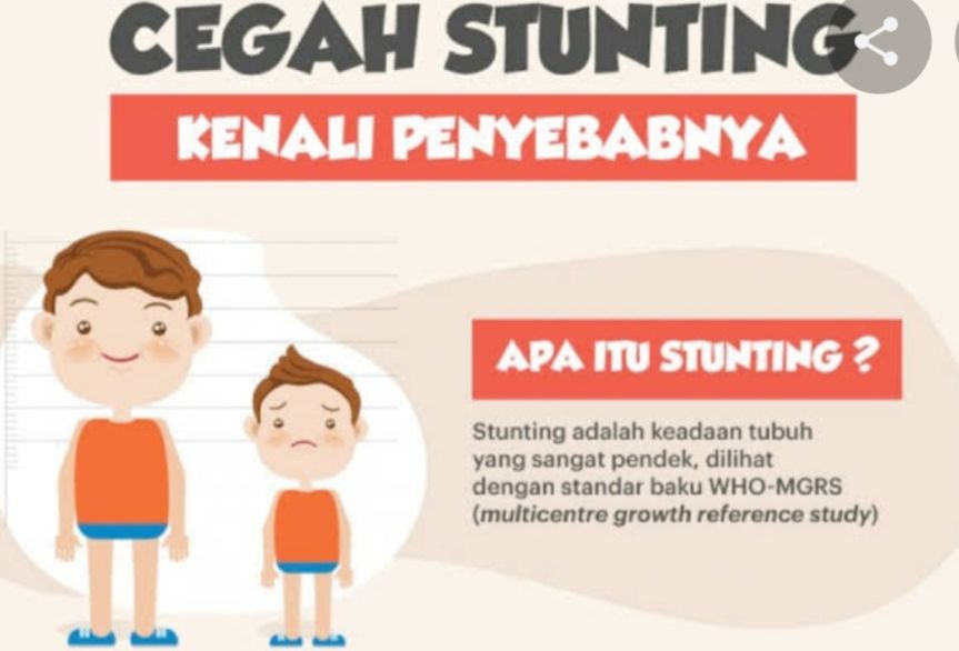 Cegah Stunting Dan Obesitas Pada Anak Ketahuilah Mitos Dan Faktanya