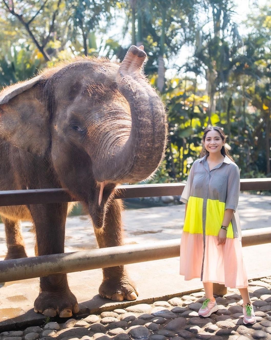 Nagita Slavina ngidam ketemu gajah di Bali