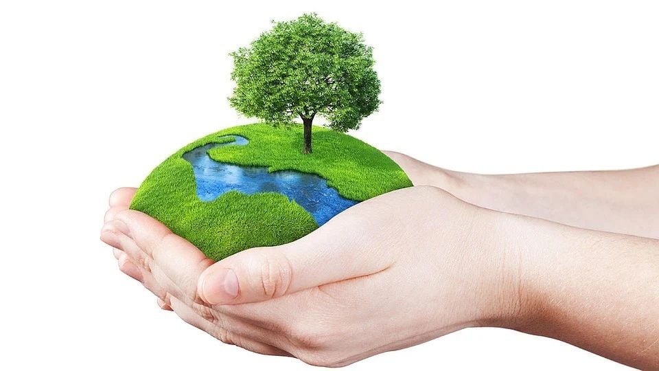 Daftar 40 Link Twibbon Hari Lingkungan Hidup Sedunia 2021, Bisa Untuk