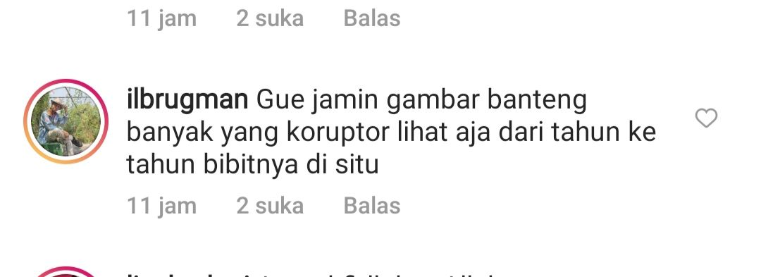 Netizen Sebut Gambar Banteng Banyak Yang Koruptor. Komentar @ilbrugman dalam komentar Instagram @majanajwa.