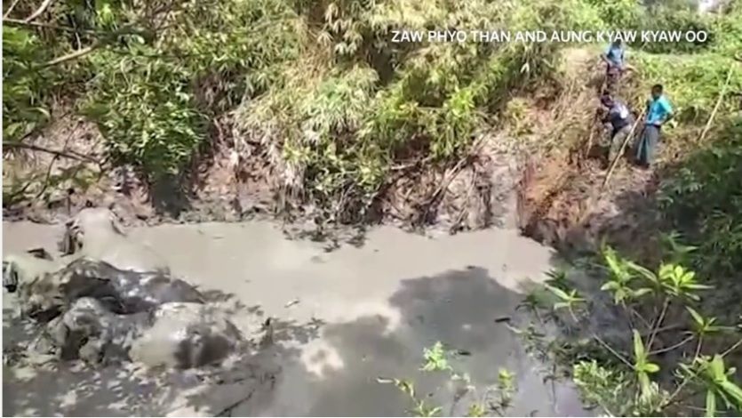 Tangkapan layar gajah terjebak lumpur di Myanmar.