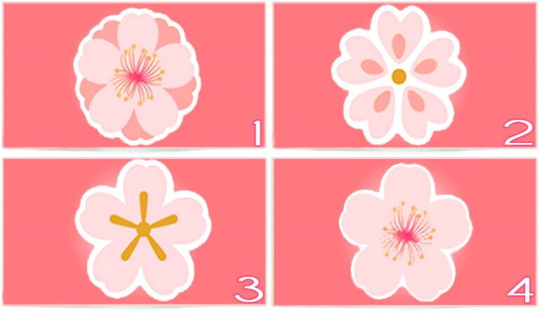 Pilihlah gambar bunga persik di atas yang bisa mengungkapkan bagaimana cara kamu membuat lawan jenis jatuh cinta.