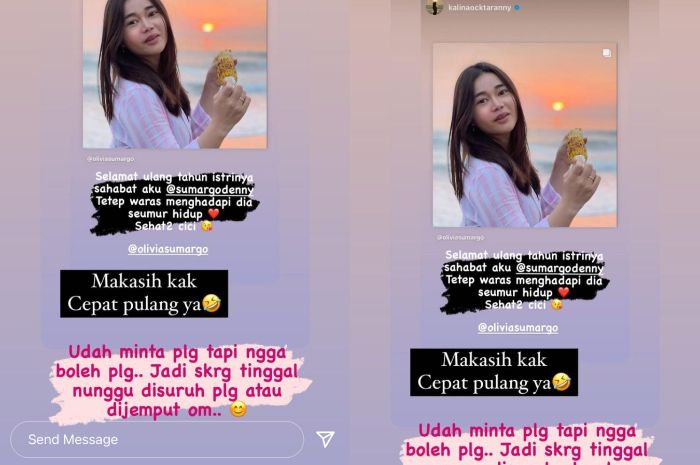 Unggahan Instagram Story milik Kalina.