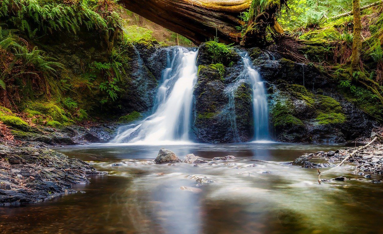 7 Rekomendasi Curug Di Bogor Yang Bisa Dijadikan Destinasi Wisata ...