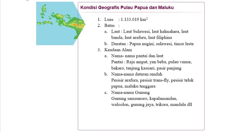 Kondisi geografis Pulau Papua dan Maluku.