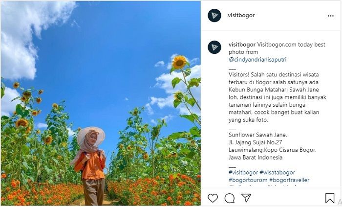 Rekomendasi lima destinasi wisata di Bogor, Jawa Barat. Ada Kebun Bunga Matahari Jane hingga empat curug, salah satunya Curug Mekar.*
