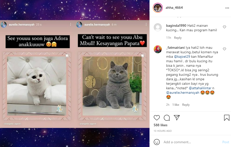 Unggahan Aurel Hermansyah yang berencana akan perlihara kucing pasca keguguran diingatkan netizen.