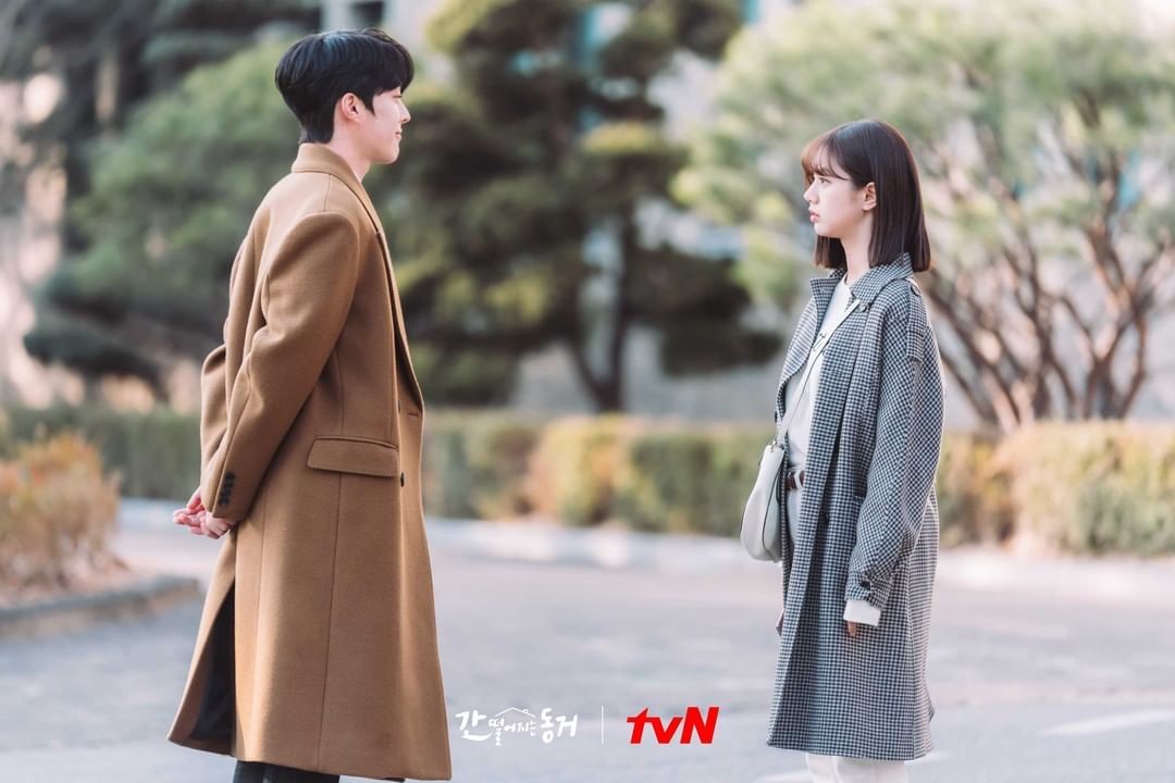 Link Nonton My Roommate Is A Gumiho Episode 9 Subtitle Bahasa Indonesia Tayang Rabu 23 Juni 2021 Pikiran Rakyat Solo Raya