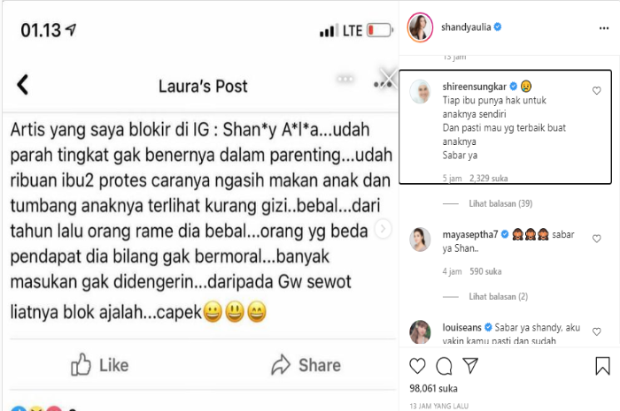 Unggahan Shany Aulia terkait komentar netizen yang mengkritik cara asuh sang anak.