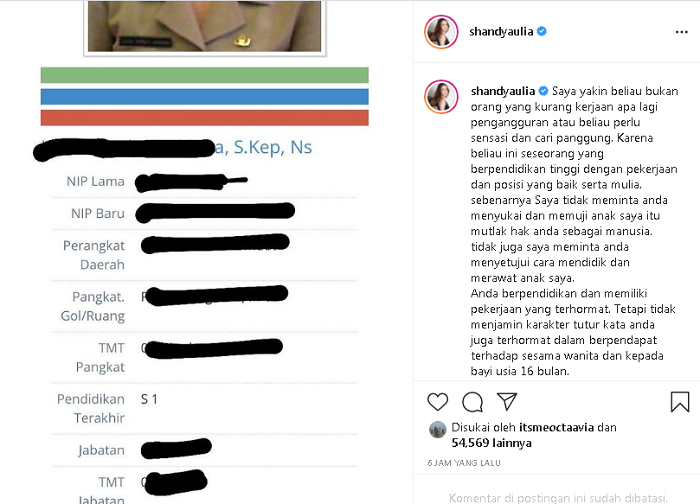 Shandy Aulia mengunggah indentitas netizen yang menghina anaknya