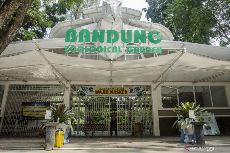 Kebun Binatang Bandung Gelar Promo Tiket Masuk Gratis Selama 3 Hari ...