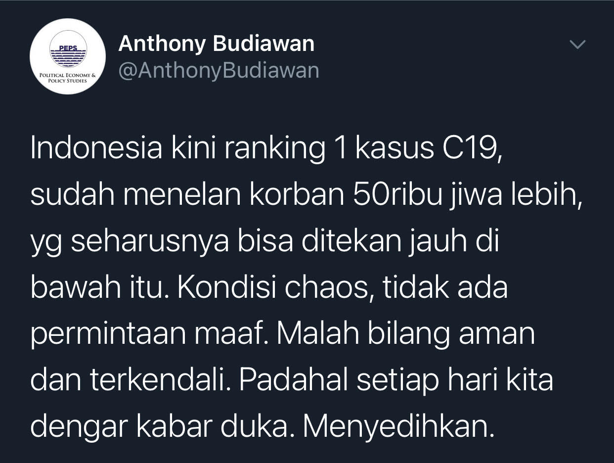 Cuitan Ekonom, Anthony Budiawan.